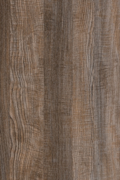 Copper Sycamore 