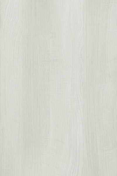 White Sycamore 