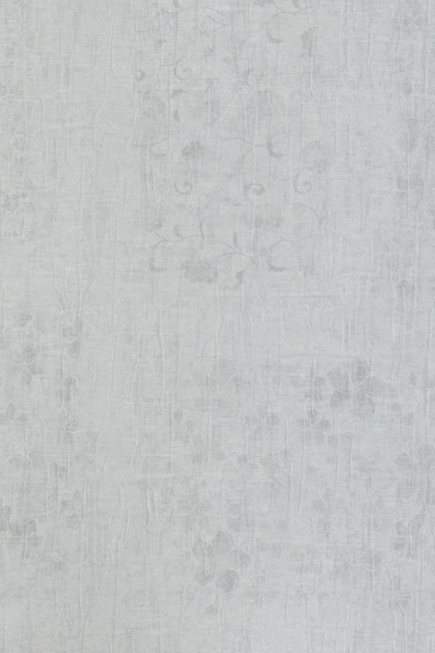 Rosa Baccara Grey