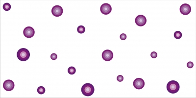 CD17 - Extra Shine