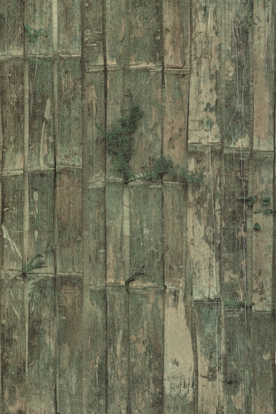 Termarind Green