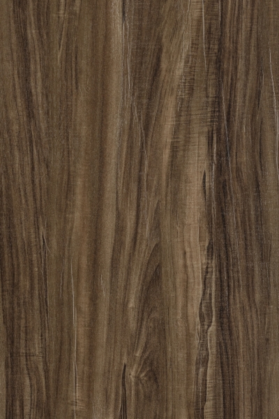 Saga Wood 