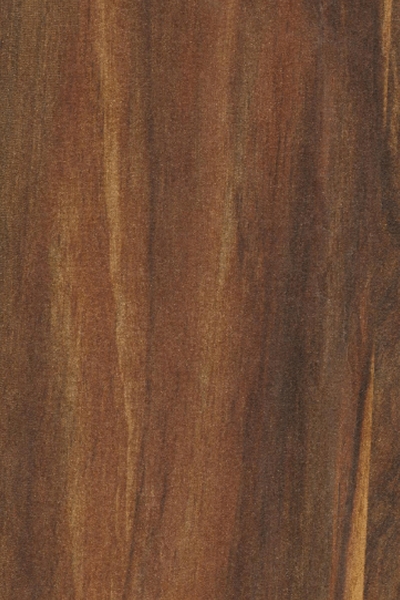 Havanna Brown 