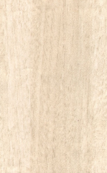 Stink Wood Ivory