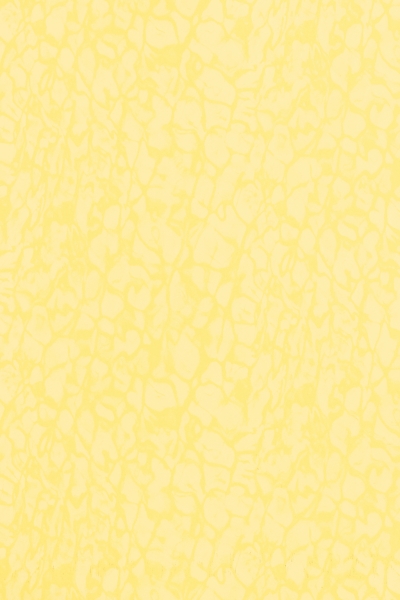 4058