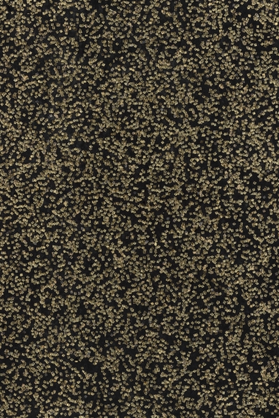4007