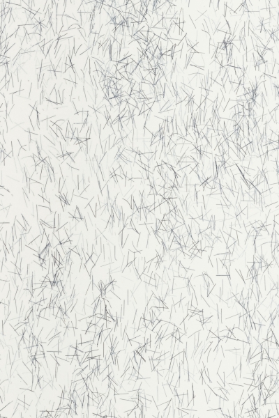 Design Number : 4065