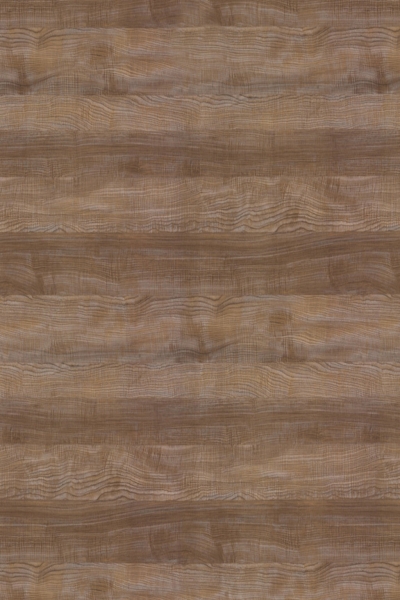 Copper Sycamore