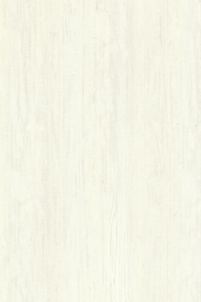 White Sycamore